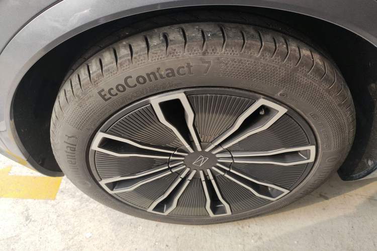 Used  07 2024 Max Extended-Range Edition
