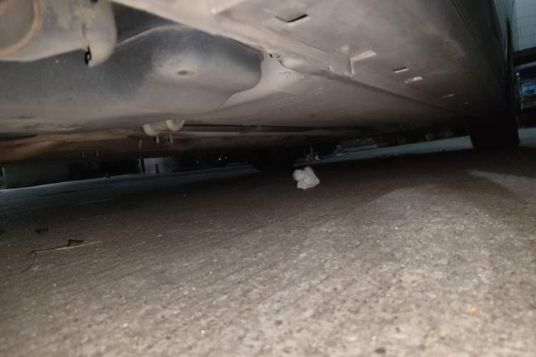 Used Nissan Sylphy 2009 1.6XE Automatic Comfort Edition