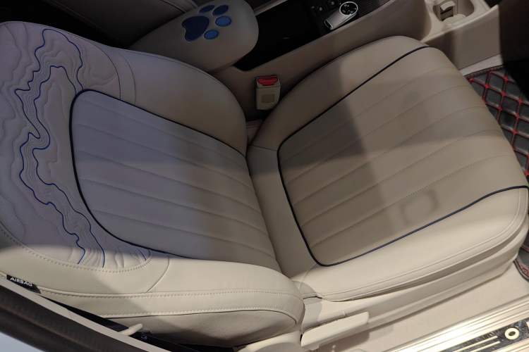 Used ORA Good Cat 2022 400km Standard Range Luxury Version Ternary Lithium
