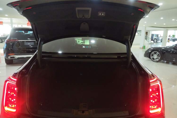 Used Hongqi H9 2024 2.0T Qichang Private Enjoyment Luxury Edition
