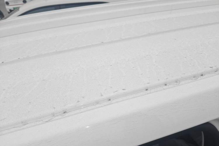 Used  Panda 2024 Panda Mini 200km Endurance Bear
