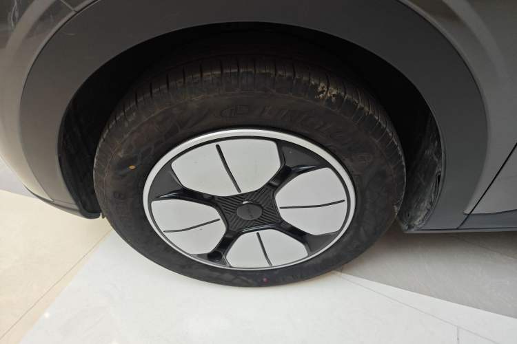 Used  Geome 2025 310km Youth Edition