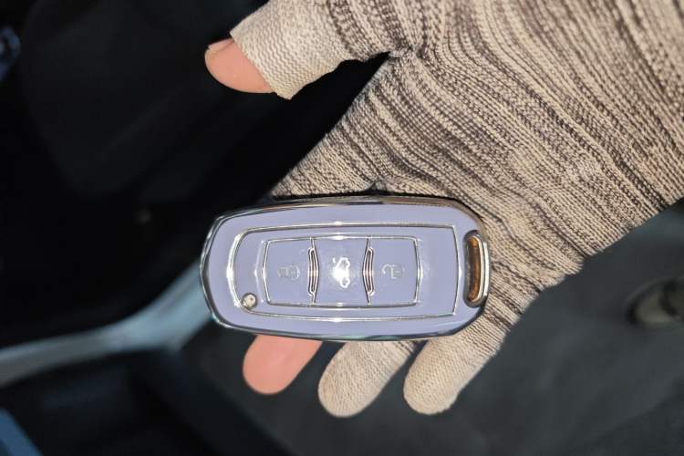 Used  Panda 2024 Panda Mini 200km Endurance Bear