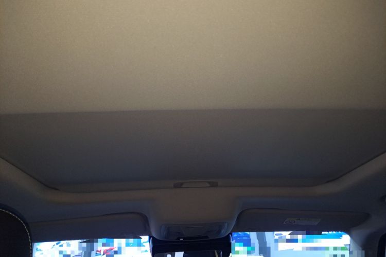 Used Tank 300 2024 2.0T Conqueror
