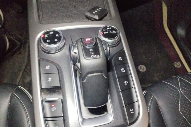 Used Tank 300 2024 2.0T Challenger
