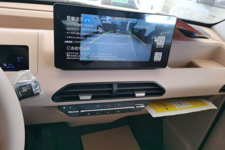 Used  Panda 2024 Panda Mini 200km Endurance Bear
