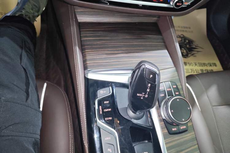 Used BMW 5 Series New Energy 2019 530Le Luxury Package