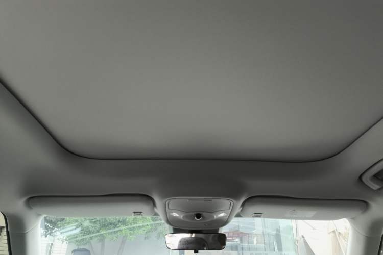 Used  #1 2024 Dynamic Standard Edition
