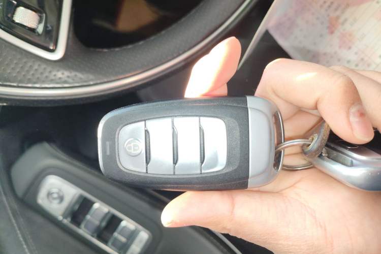 Used Hongqi H9 2020 2.0T Smart Connect Flagship Edition