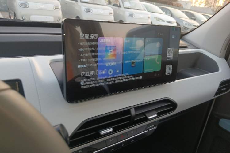 Used  Panda 2024 Panda Mini 200km Endurance Bear
