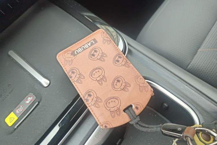 Used  S05 2024 510Max Pure Electric Version