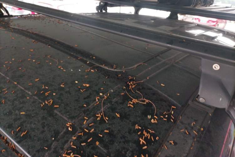 Used Great Wall Poer 2023 2.0T Passenger Version Automatic Gasoline Four-Wheel Drive Comfort Trim – GW4C20B
