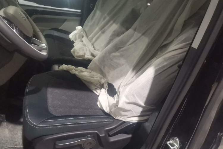 Used  Pioneer V 2024 Multi-Function Version 2.0T Automatic Short Wheelbase Mid-Roof