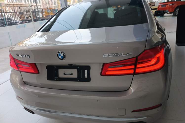 Used BMW 5 Series New Energy 2019 530Le Luxury Package