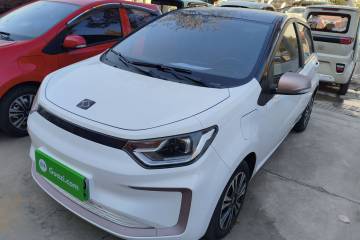 Used SOL E10X 2022 Flower Fairy Design Four-Leaf Clover