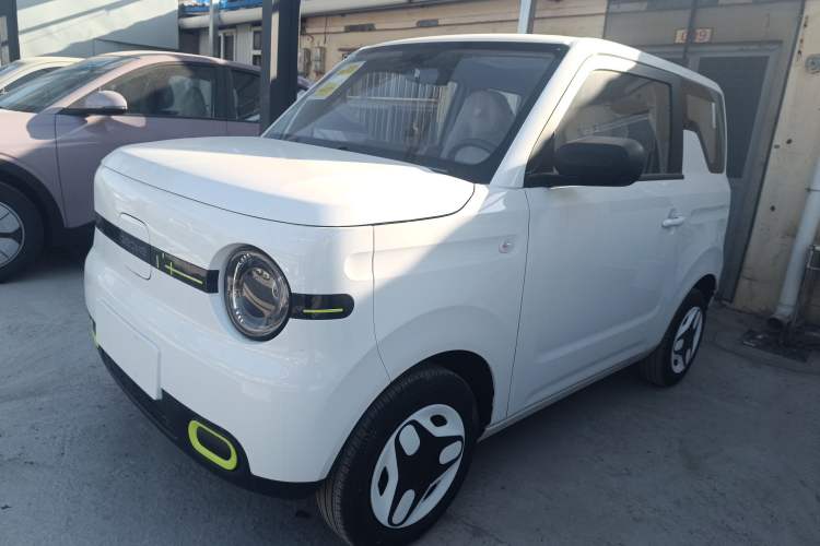 Used  Panda 2025 210 km – Yuanqi Bear
