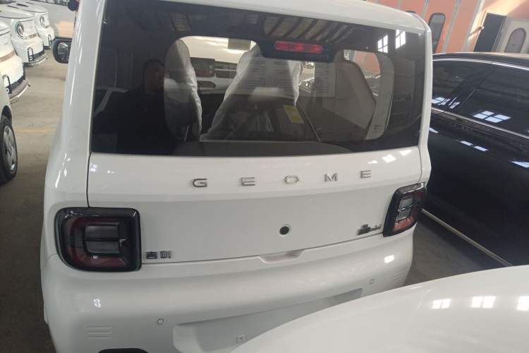 Used  Panda 2024 Panda Mini 200km Endurance Bear