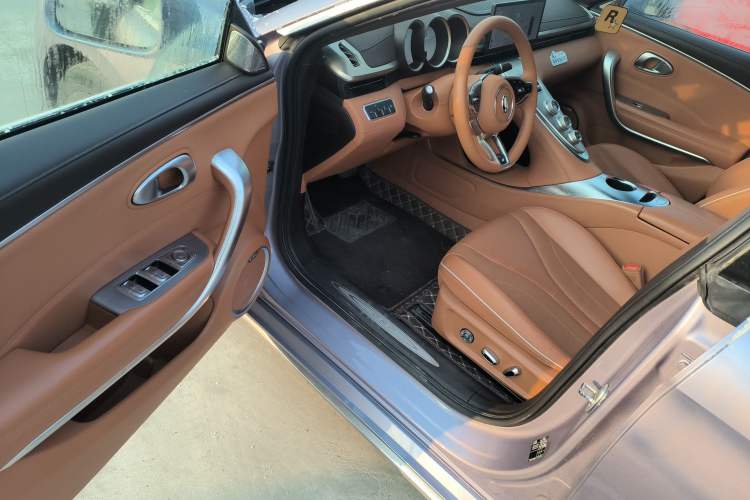 Used ORA Lightning Cat 2022 555 km Luxury Edition