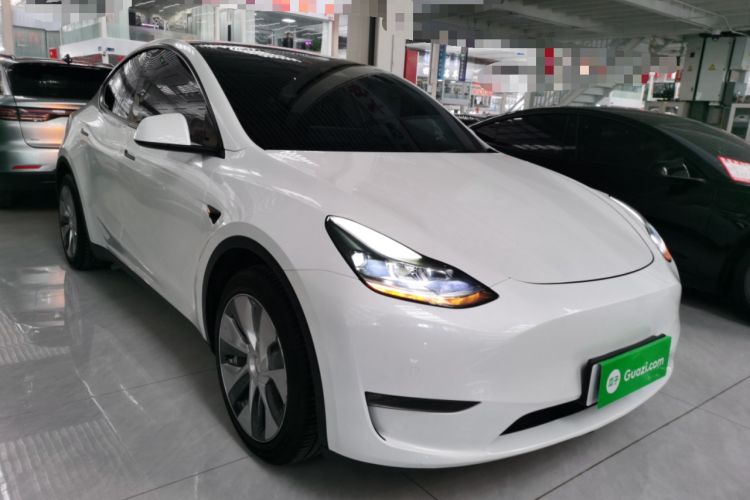Used Tesla Model Y 2021 Standard Range Rear-Wheel Drive Version
