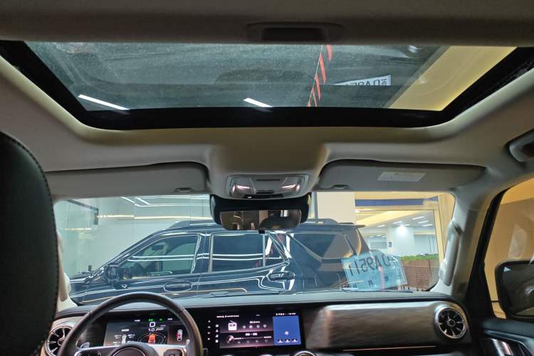 Used Tank 300 2024 2.0T Conqueror