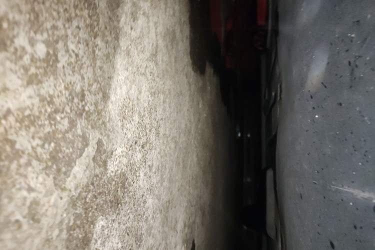 Used BYD Dolphin 2021 405 km Free Version
