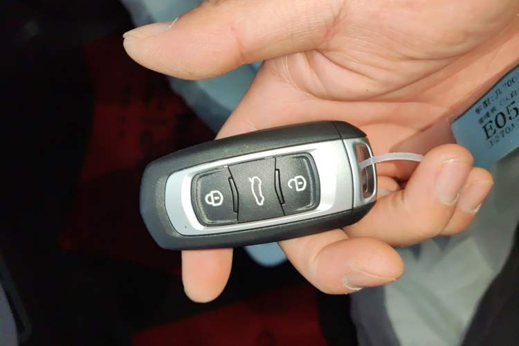 Used  Panda 2025 210 km – Yuanqi Bear
