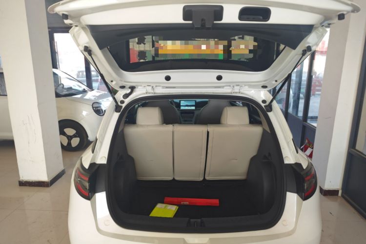 Used  Geome 2025 310km Youth Edition