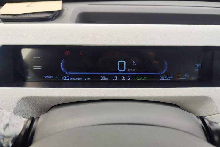 Used  Panda 2024 Panda Mini 200km Endurance Bear
