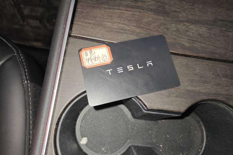 Used Tesla Model 3 2020 Revised Version Standard Range Rear-Wheel Drive – Upgraded Edition
