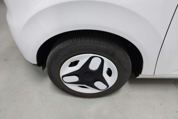Used  Panda 2025 210 km – Yuanqi Bear
