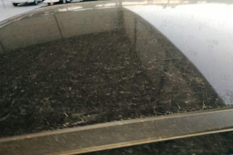 Used Chery QQ Ice Cream 2022 170km Sundae Phosphate Lithium-Ion