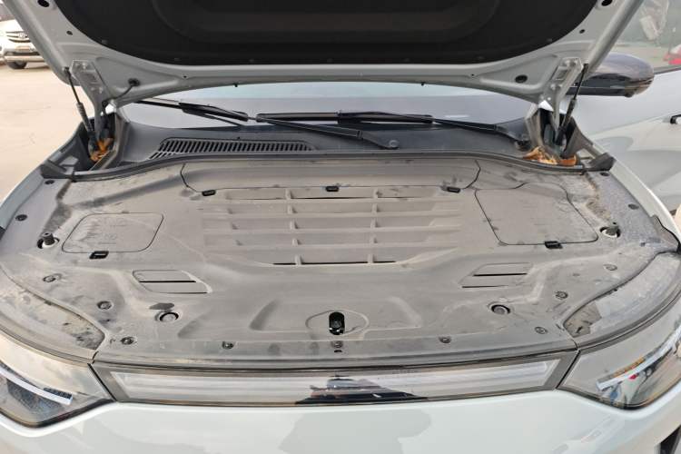 Used Leapmotor C11 2024 All-Electric 580 Luxury Edition
