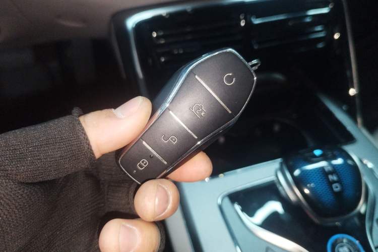 Used BYD Tang New Energy 2024 DM-i Glory Edition 112KM Prestige Model