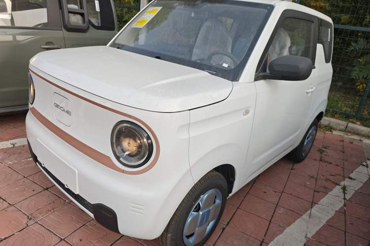 Used  Panda 2024 Panda Mini 200km Endurance Bear

