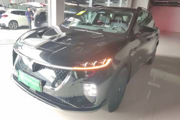 Used VOYAH COURAGE 2024 Four-Wheel Drive Global Edition