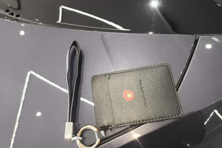 Used  12 2024 700 Three-Laser Rear-Wheel Drive Luxury Edition
