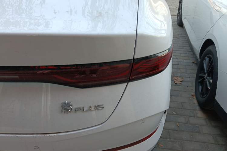 Used BYD Qin PLUS 2025 DM-i Smart Drive 55KM Leading Model