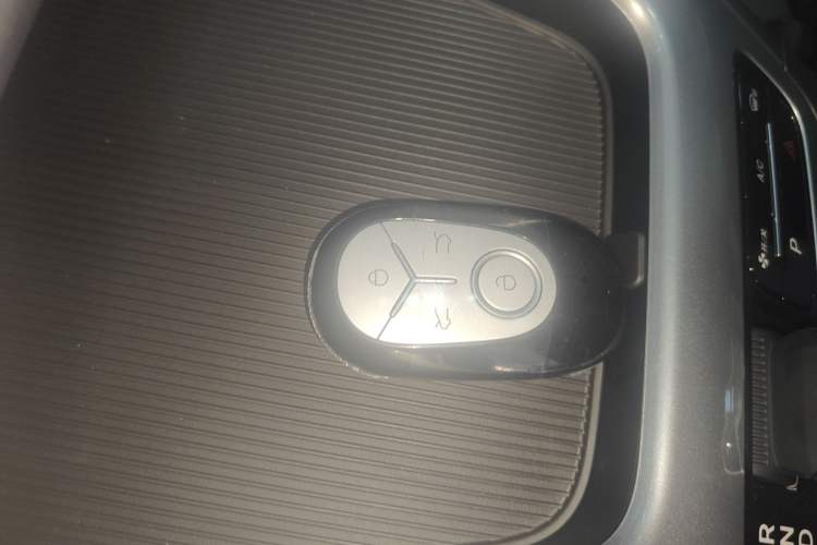 Used  Geome 2025 310km Youth Edition
