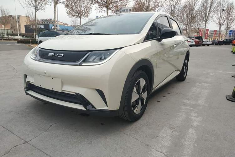Used BYD Dolphin 2023 420 km Free Version