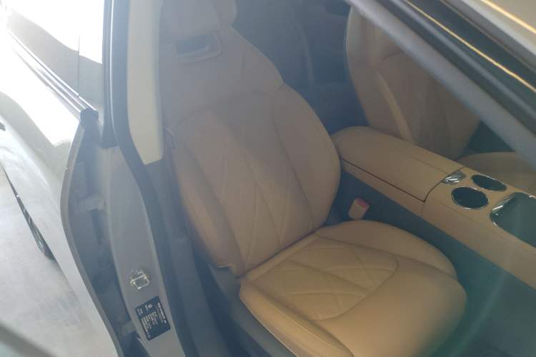 Used Leapmotor C01 2024 Pure Electric 525 Luxury Edition
