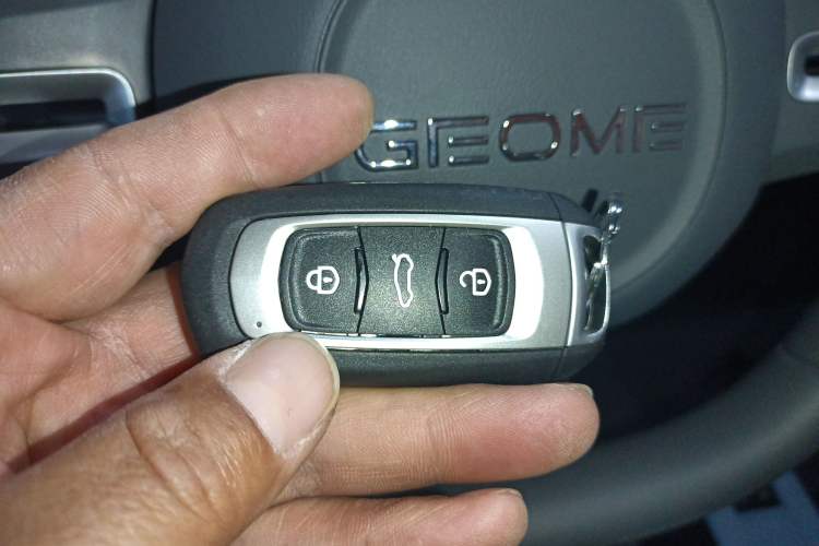 Used  Panda 2024 Panda Mini 200km Endurance Bear