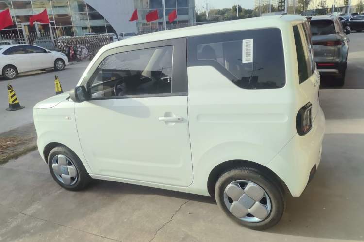 Used  Panda 2024 Panda Mini 200km Longteng PRO Edition
