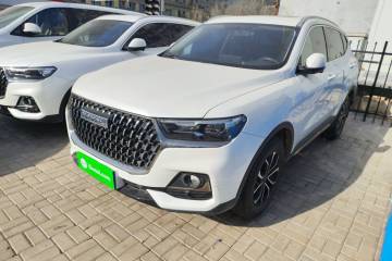 Used Haval H6 2023 National Trend Edition 1.5T Automatic Urban Version
