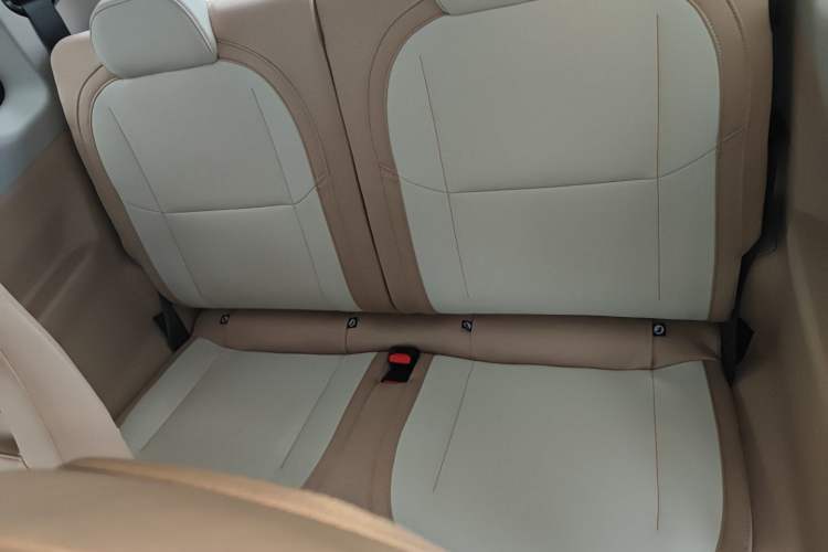 Used  Panda 2024 Panda Mini 200km Endurance Bear