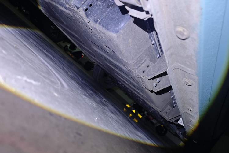 Used  Panda 2024 Panda Mini 200km Endurance Bear