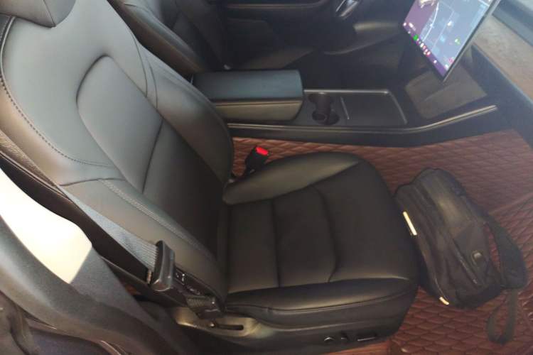 Used Tesla Model Y 2021 Long-Range All-Wheel-Drive Version