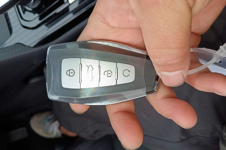 Used Geely Auto Monjaro L 2024 2.0TD High-Power Automatic Two-Wheel Drive Skyline Edition
