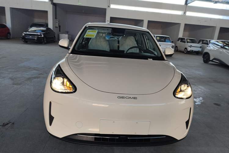 Used  Geome 2025 310km Youth Edition
