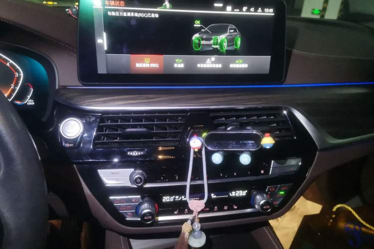 Used BMW 5 Series 2022 530Li Leading Luxury Package
