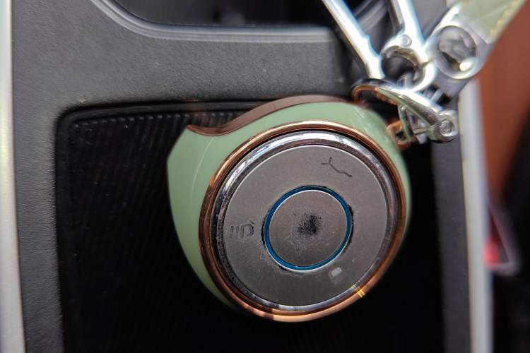 Used NETA V 2021 Witch Edition
